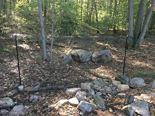 Cat proof fence