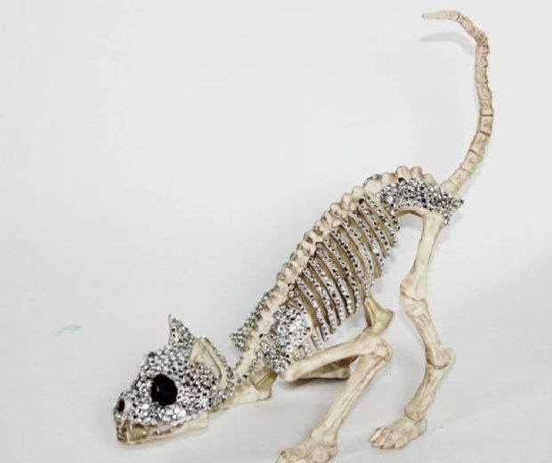 Plastic and rhinestone cat skeleton