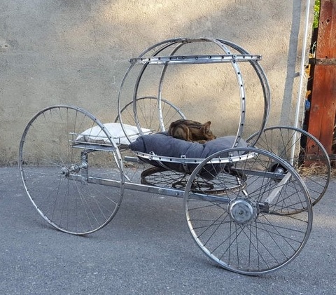 Recycled cat carriage