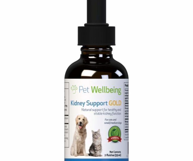 Drops for cats with Kidney Disease