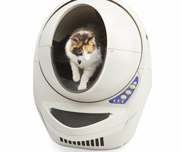 Automatic cat poop cleaner